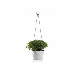 Gardenico Samozavlažovací závěsný květináč Marina bílá, pr. 25 cm