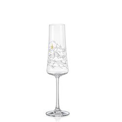 Crystalex GARDEN sklenice na sekt 210 ml, 2 ks