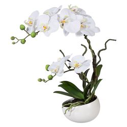 Umělá Orchidej v květináči bílá, 42 cm 115812-40