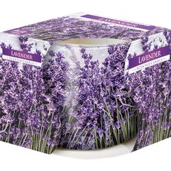 Vonná svíčka ve skle Lavender 100 g, 7,2 cm