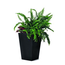 Ketter Obal na květináč Rattan Planter antracit, 23,6 l, 44 x 29 cm